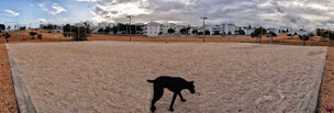 ALGARVE XXL • Reportage • Fototapeten • Berlintapete • Hund auf dem Fußballplatz / Lagos (Nr. 7196) ALGARVE XXL • Reportage • Fototapeten • Berlintapete • Hund auf dem Fußballplatz / Lagos (Nr. 7196)