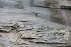 Rocks & Water • Wasser • Fototapeten • Berlintapete • Rocks & Water (Nr. 14925)