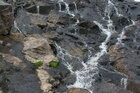 Rocks & Water • Wasser • Fototapeten • Berlintapete • Rocks & Water (Nr. 14943)